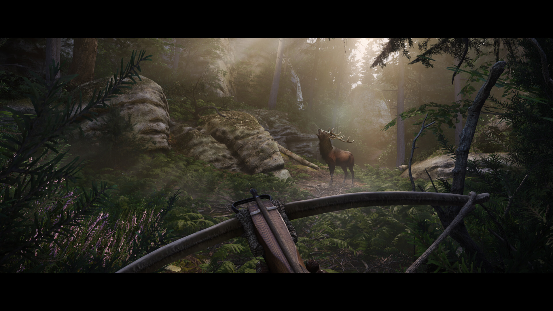 图片[5]-天国：拯救2/Kingdom Come: Deliverance II-pp游戏仓库