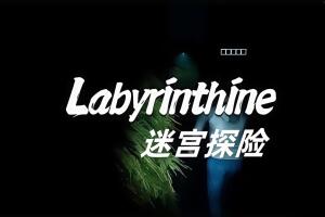 迷宫探险/Labyrinthine-pp游戏仓库