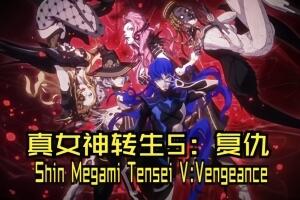 真女神转生5:复仇/Shin Megami Tensei V:Vegneance-pp游戏仓库