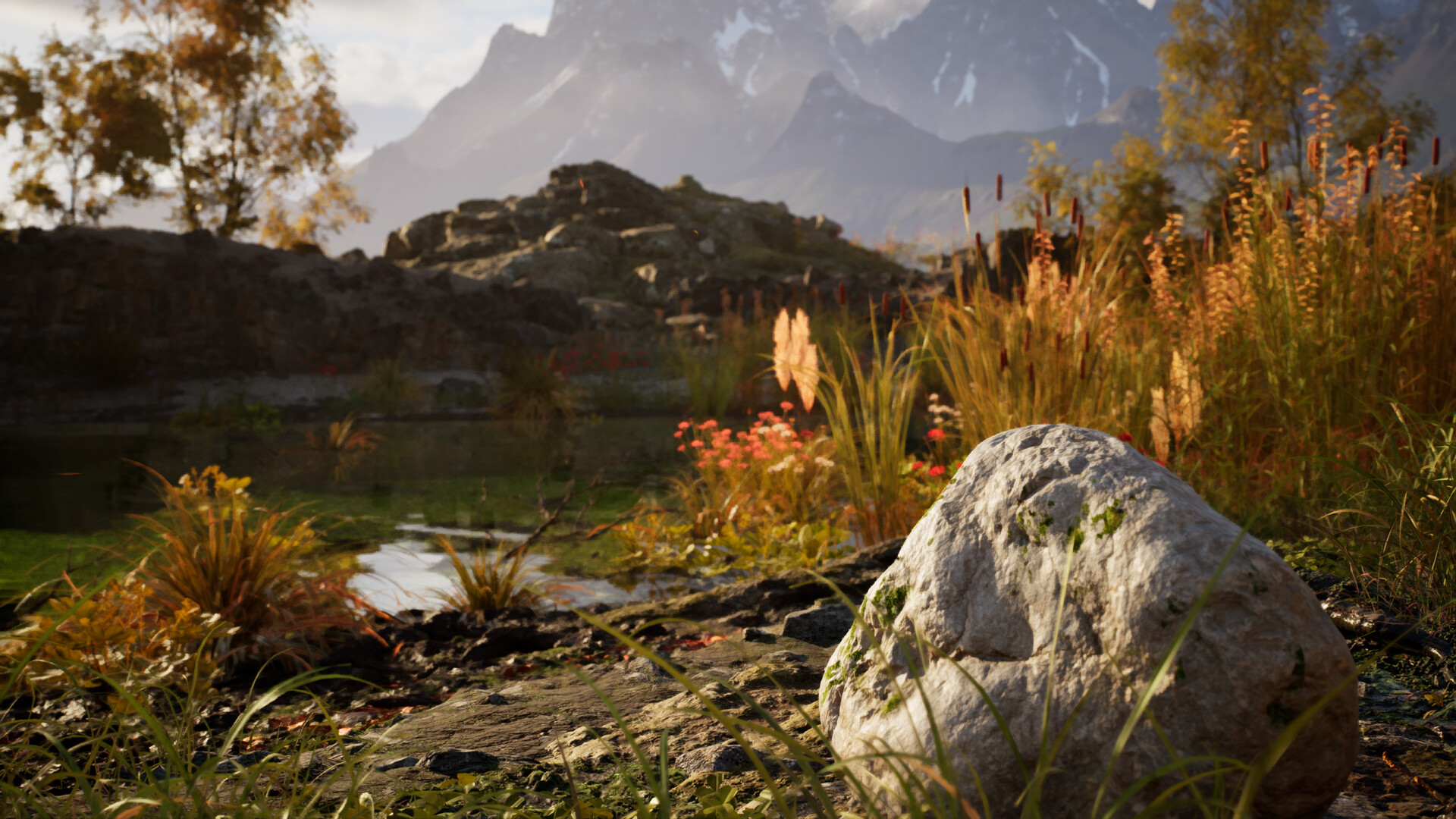 图片[5]-石头模拟器/Stone Simulator – Just Be a Rock-pp游戏仓库