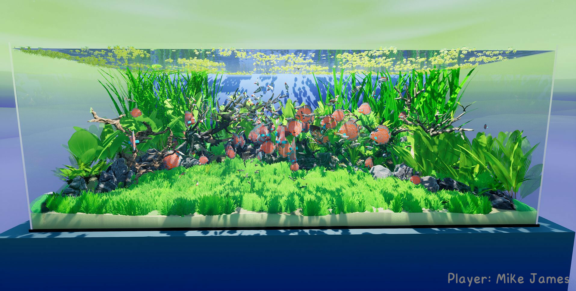 图片[5]-养鱼模拟器/Fish Game-pp游戏仓库