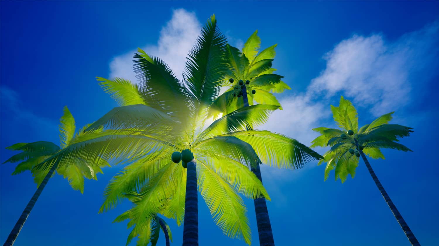 图片[7]-我的海岛/My Island-pp游戏仓库