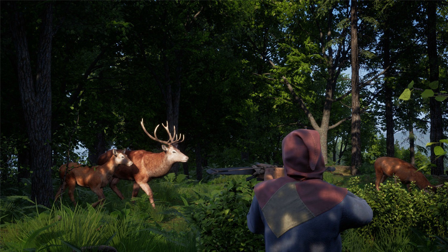 图片[6]-中世纪王朝/Medieval Dynasty/支持网络联机-pp游戏仓库