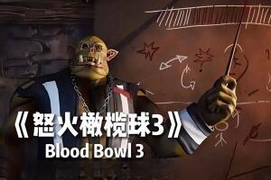 怒火橄榄球3/Blood Bowl 3-pp游戏仓库