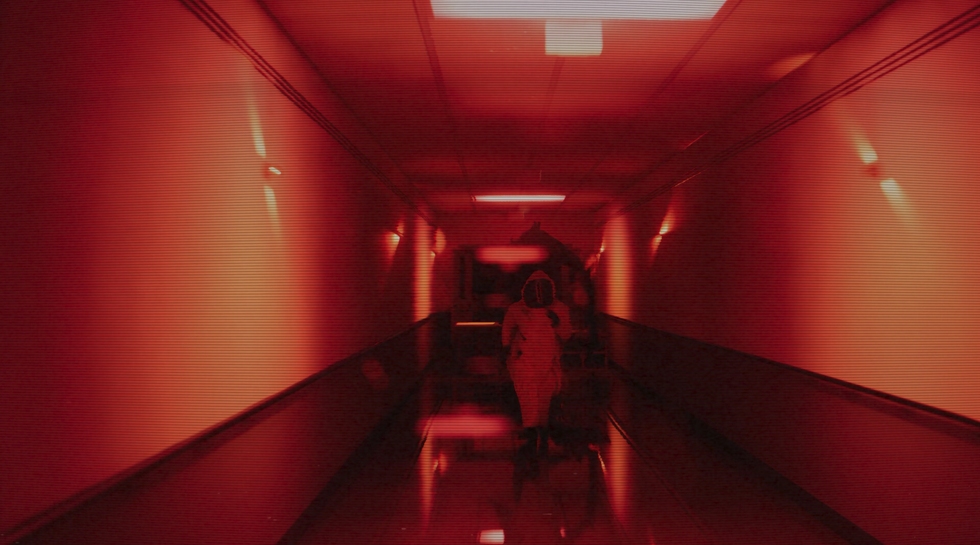 图片[7]-后室：一起逃脱/Backrooms: Escape Together-pp游戏仓库