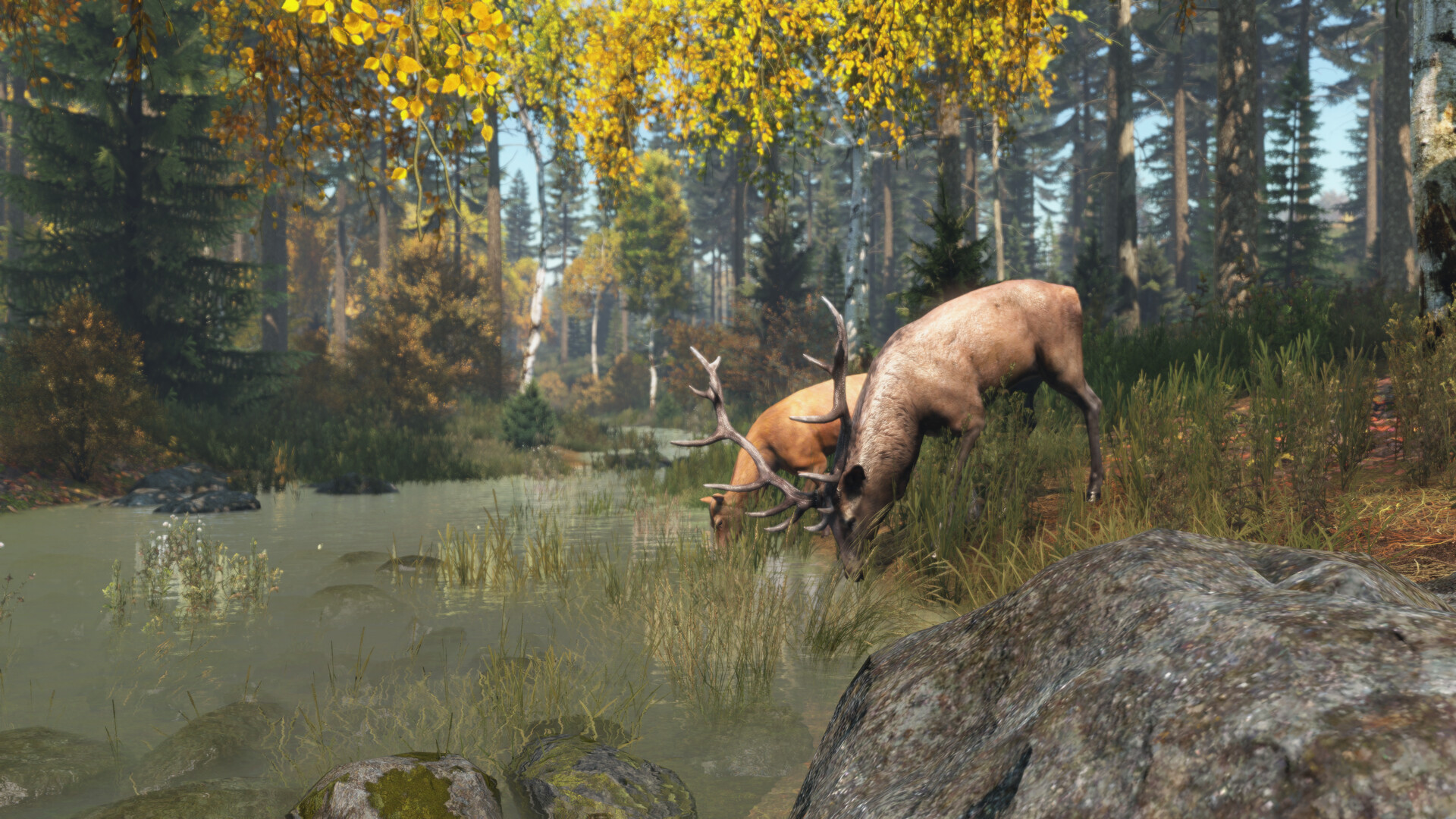 图片[6]-僵尸末日/DayZ-pp游戏仓库