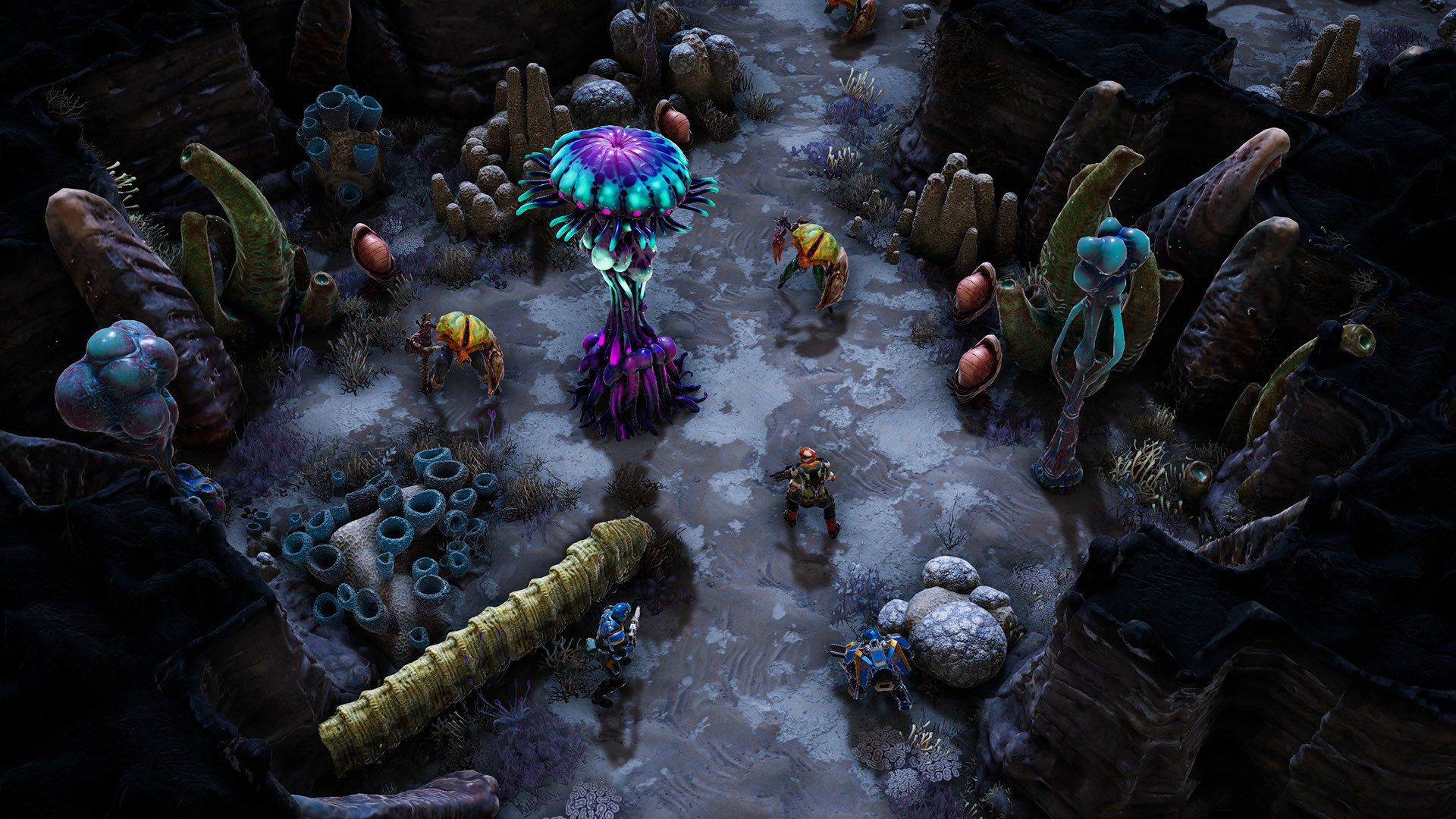 图片[8]-凤凰点：周年版/Phoenix Point: Year One Edition-pp游戏仓库