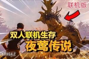 夜莺传说/Nightingale 支持网络联机-pp游戏仓库