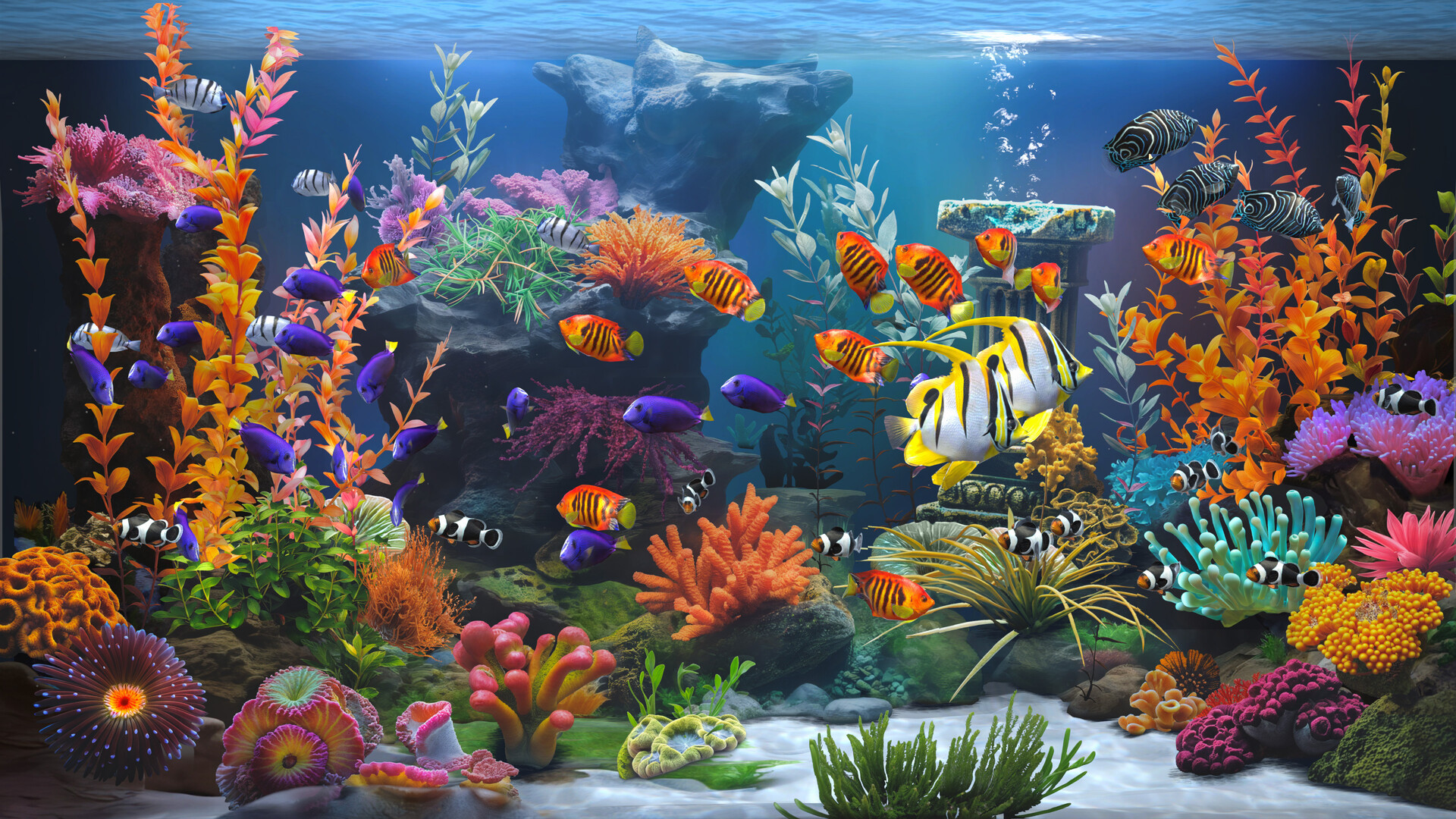 图片[1]-禅意水族馆/Zen Aquarium-pp游戏仓库