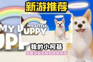 我的小柯基/My Little Puppy-pp游戏仓库