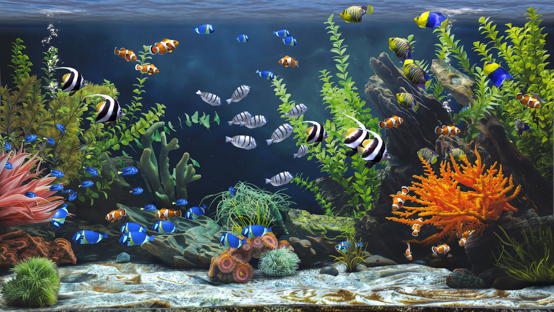 图片[6]-禅意水族馆/Zen Aquarium-pp游戏仓库