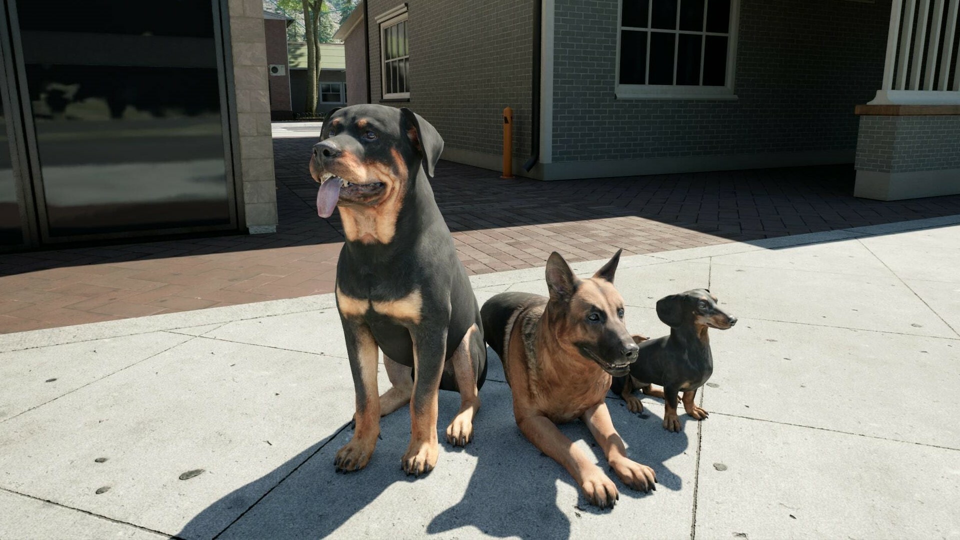 图片[6]-牧场模拟器/Ranch Simulator-pp游戏仓库