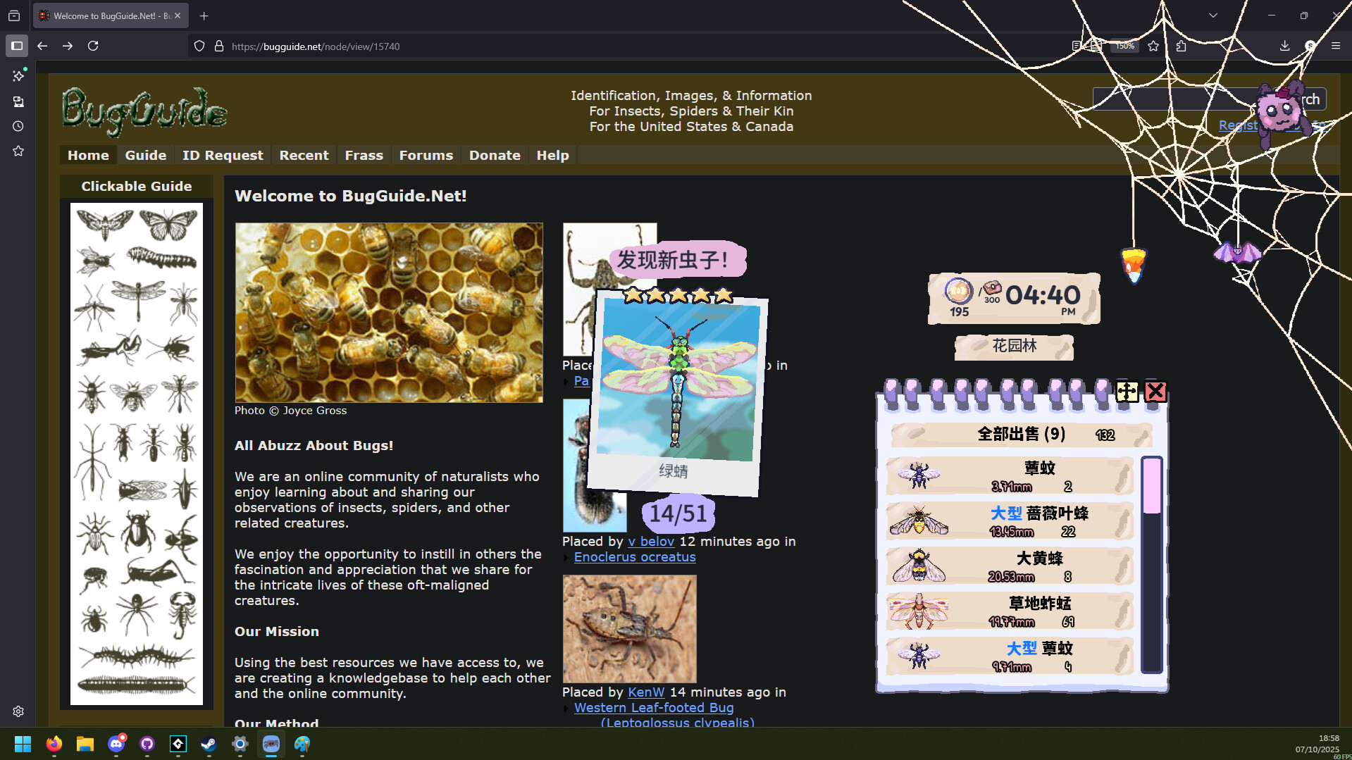 图片[4]-我的小小蜘蛛/My Little Spider-pp游戏仓库