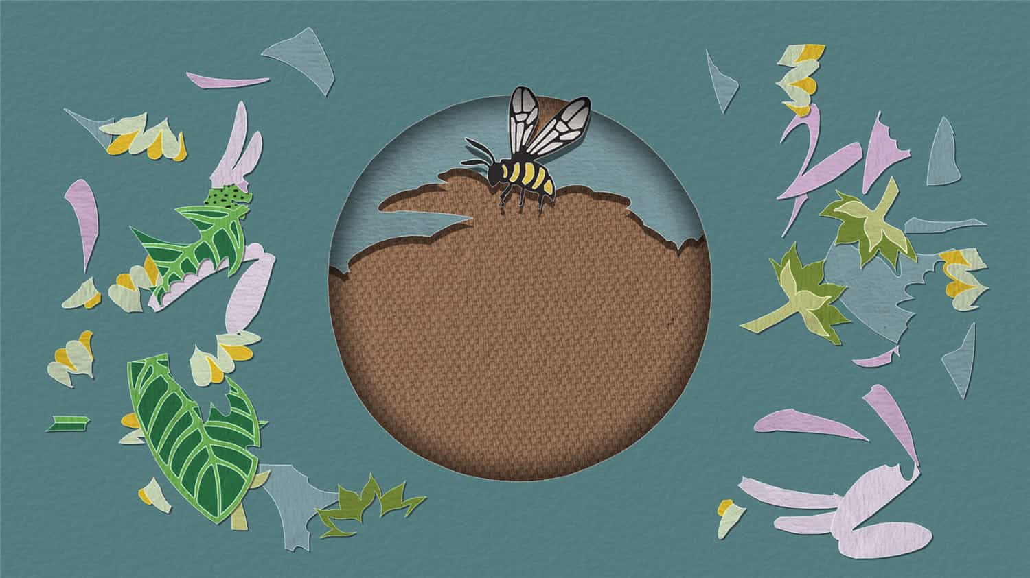 图片[3]-剪纸美术馆-自然/Papercut Art Gallery-Nature-pp游戏仓库