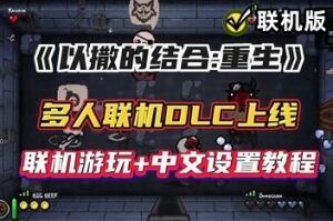 以撒的结合：重生/The Binding of Isaac: Rebirth/支持网络联机-pp游戏仓库