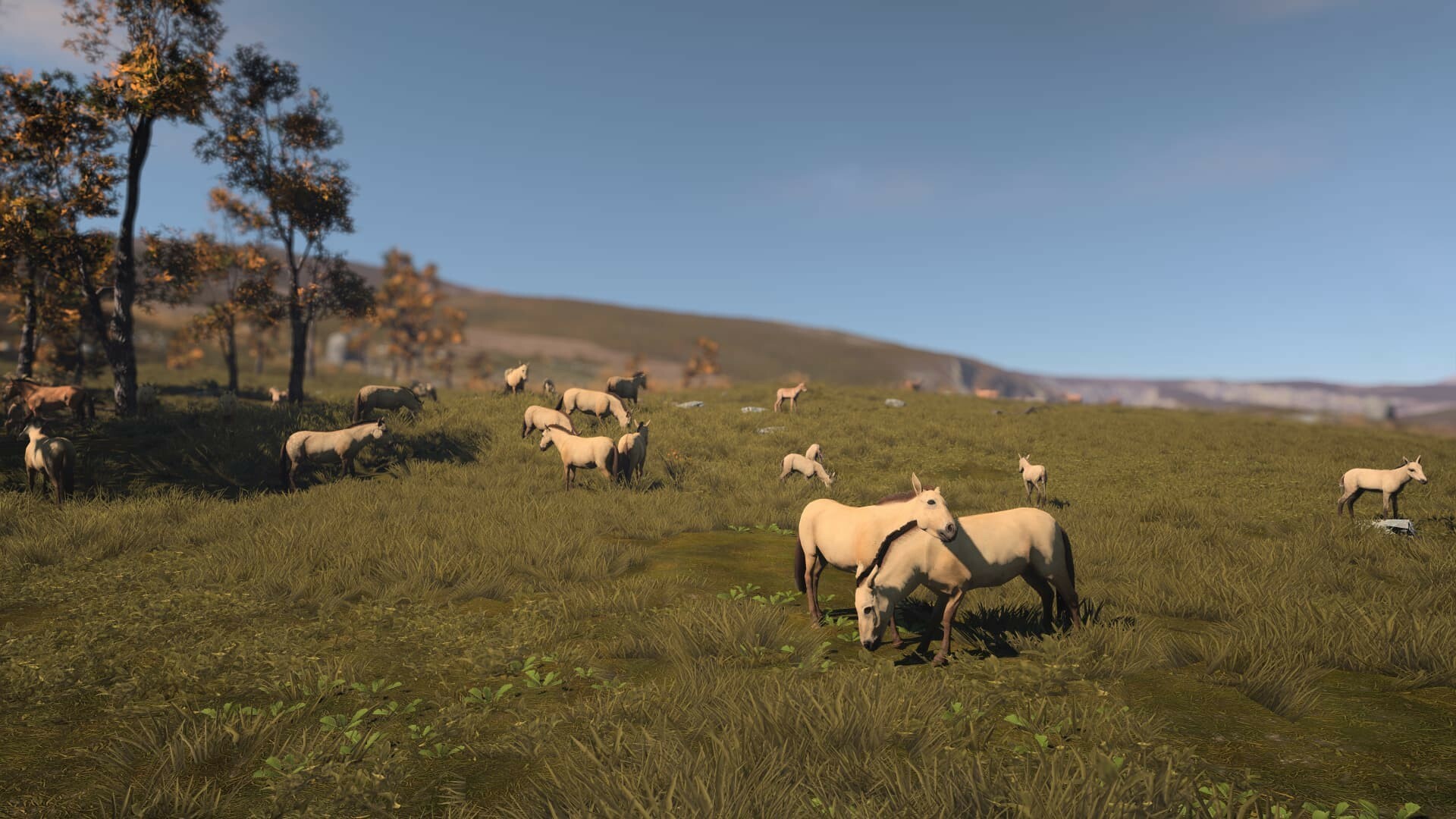 图片[3]-古城/古代城市/Ancient Cities-pp游戏仓库