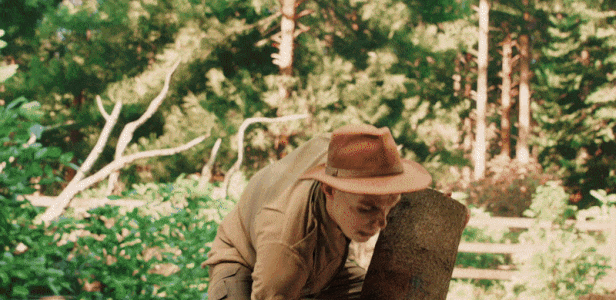 图片[2]-护林员模拟器/Forest Ranger Simulator-pp游戏仓库