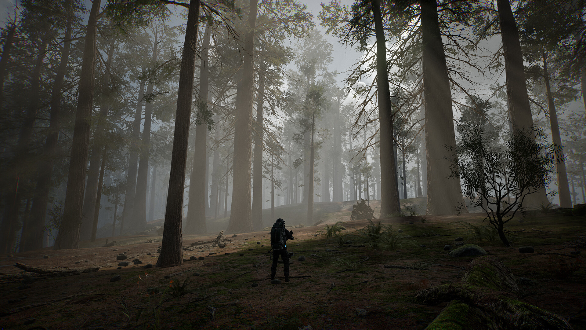 图片[5]-寿命效应|v0.0.20|官方英文|LIFE EFFECT-pp游戏仓库