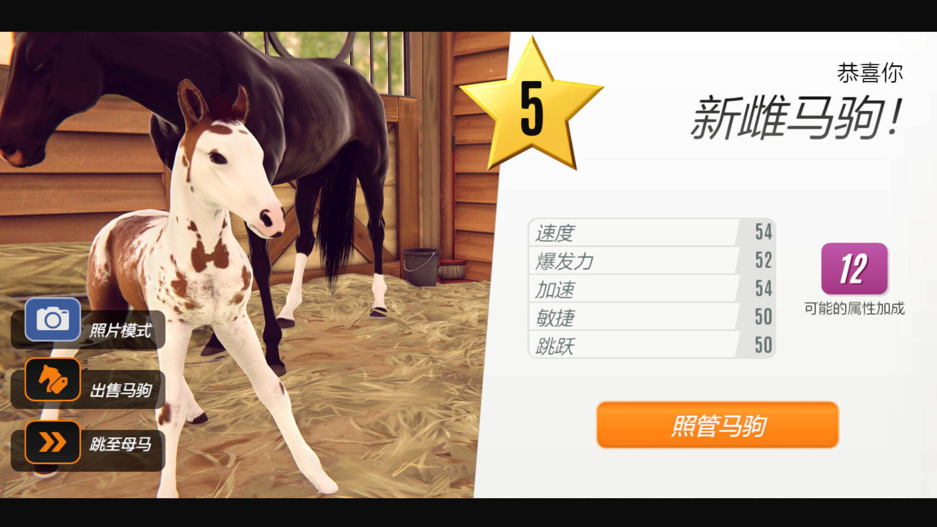 图片[5]-家族传奇：马匹养成竞技/Rival Stars Horse Racing: Desktop Edition-pp游戏仓库