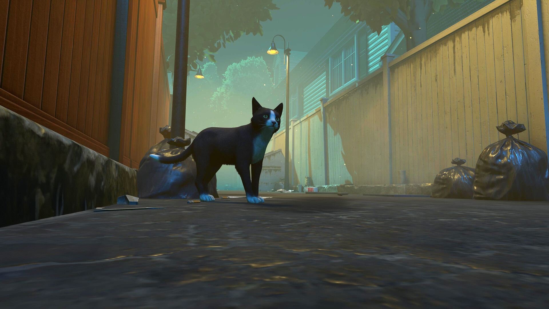 图片[1]-冒牌猫谜/Copycat-pp游戏仓库