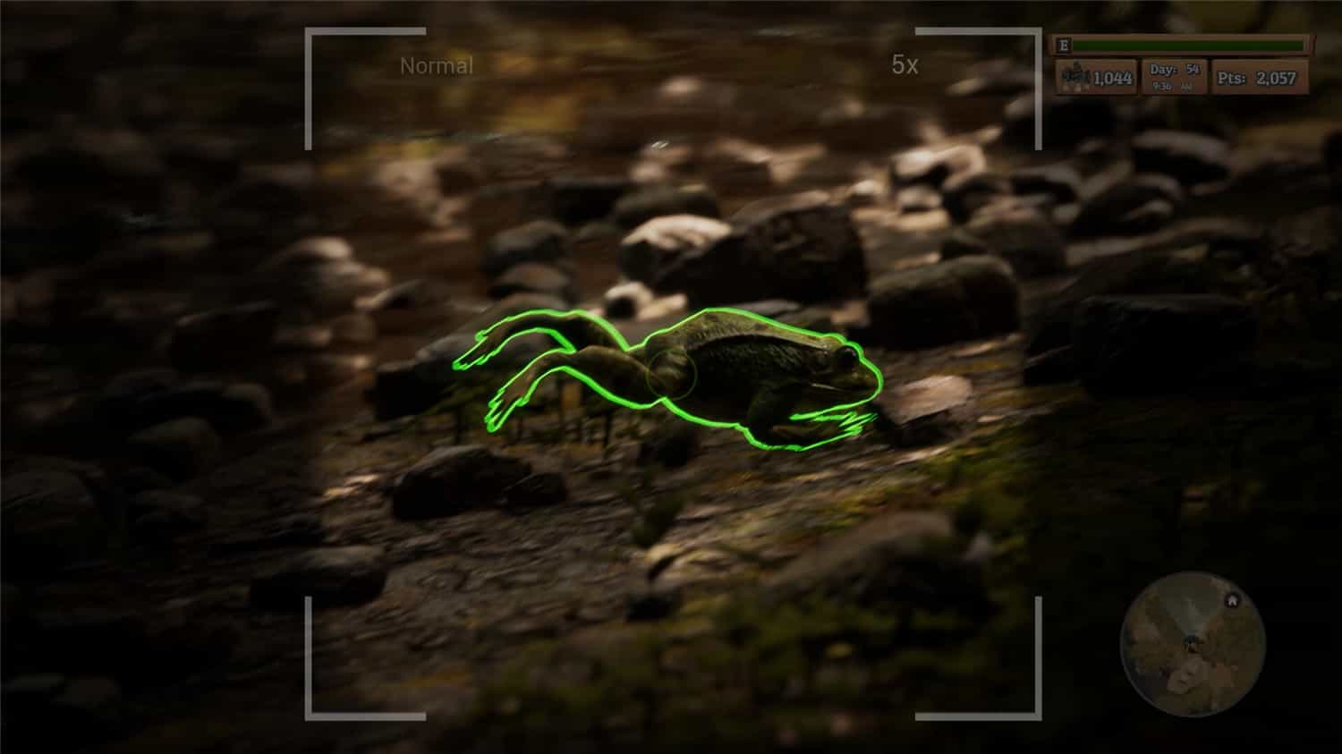 图片[4]-羊肚菌：狩猎/Morels: The Hunt-pp游戏仓库