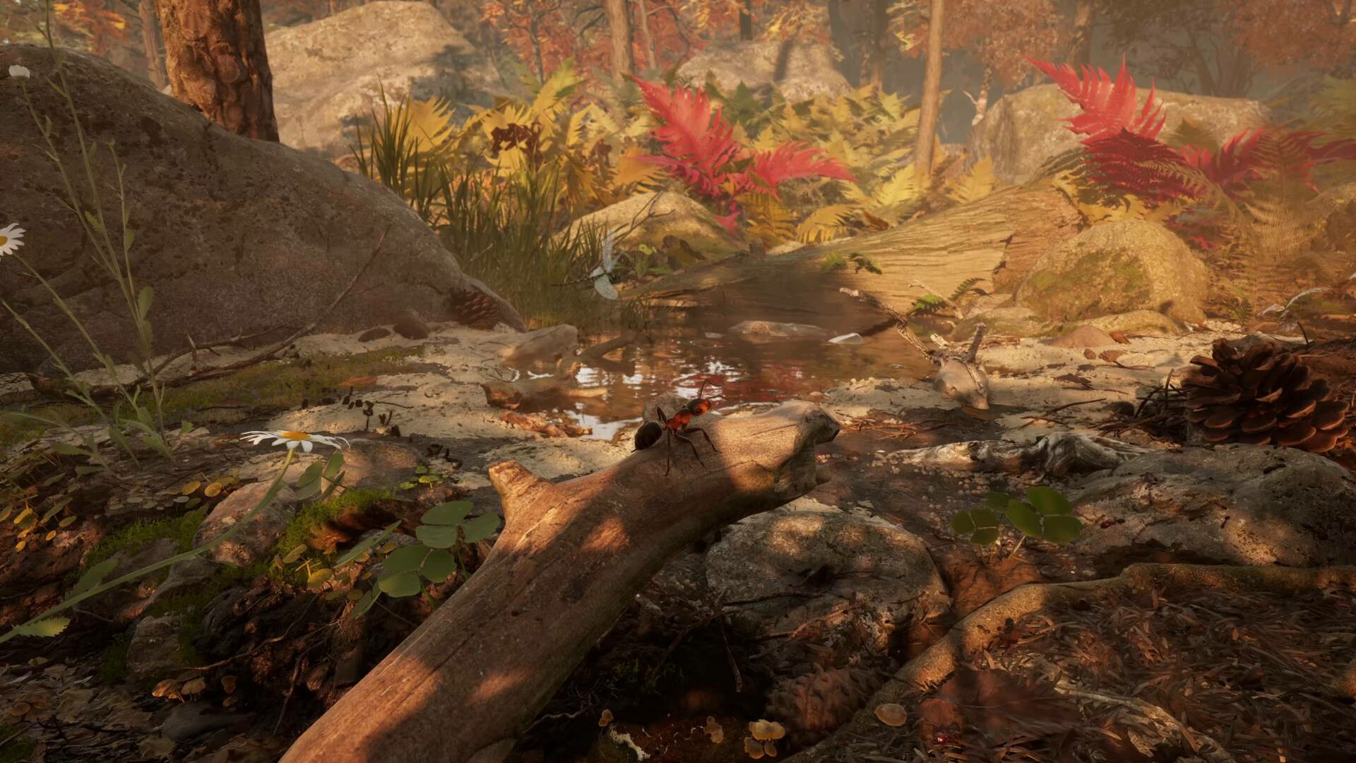 图片[5]-蚂蚁帝国/Empire of the Ants-pp游戏仓库