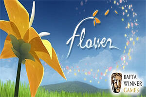 花/Flower-pp游戏仓库