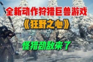 狂野之心/WILD HEARTS-pp游戏仓库