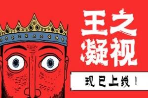 王之凝视/The King is Watching-pp游戏仓库