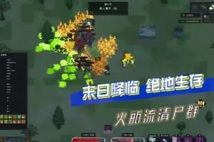 末日降临：绝地生存/Nearly Dead – Live and Let Die-pp游戏仓库