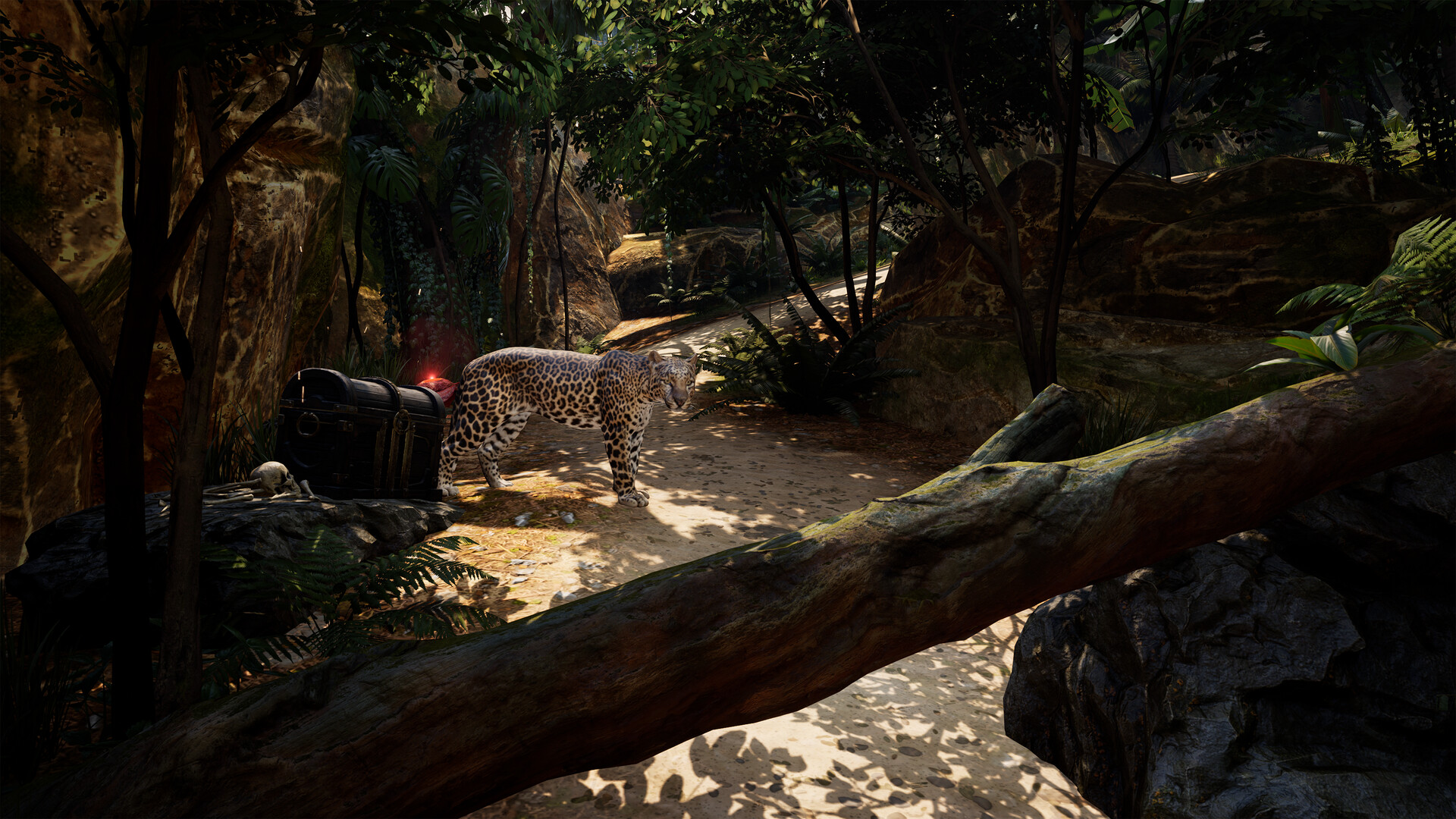 图片[7]-海盗VR: 海盗旗/Pirates VR: Jolly Roger-pp游戏仓库