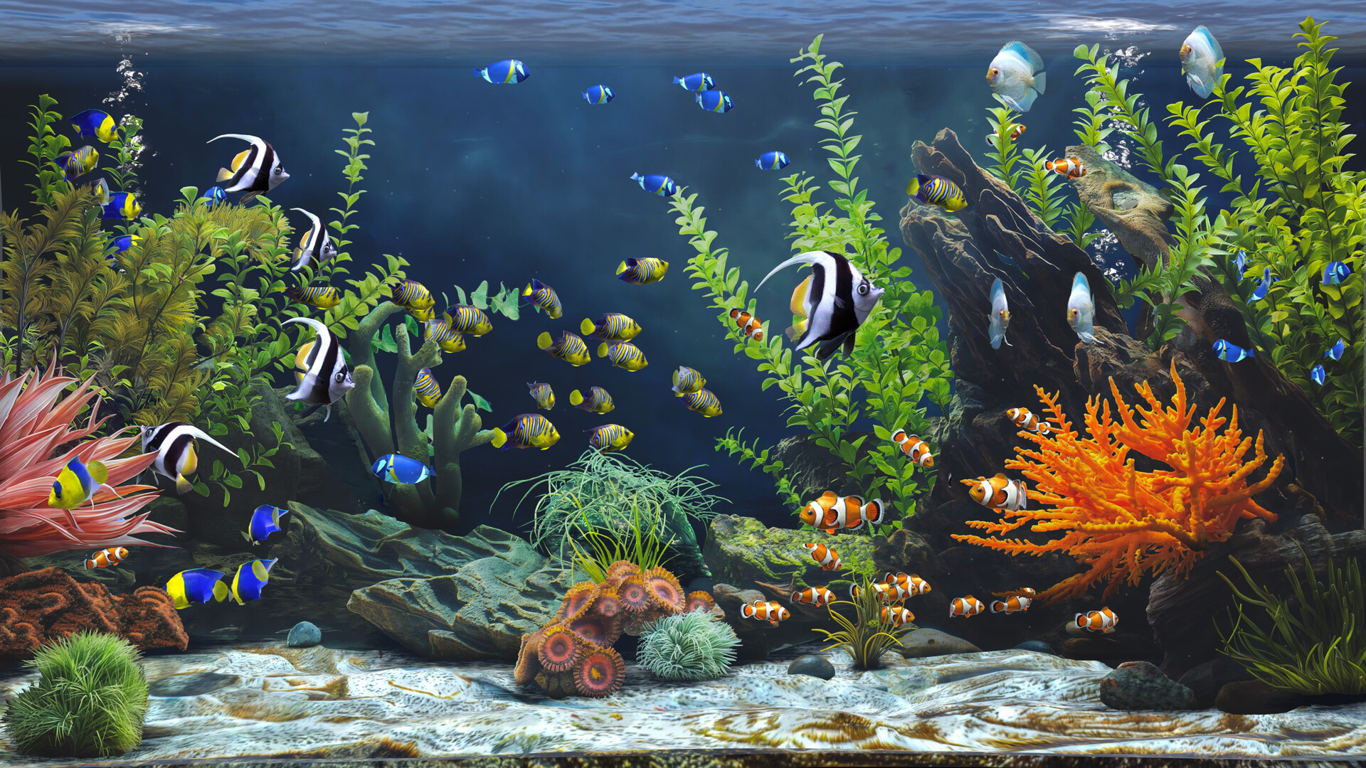 图片[3]-禅意水族馆/Zen Aquarium-pp游戏仓库