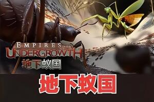 地下蚁国/Empires of the Undergrowth-pp游戏仓库