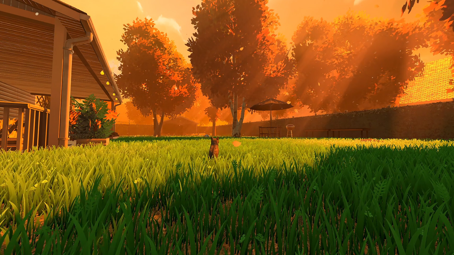 图片[5]-冒牌猫谜/Copycat-pp游戏仓库