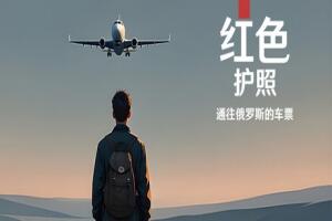 红色护照：通往俄罗斯的车票/Red Passport: Ticket to Russia-pp游戏仓库