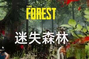 迷失森林/The Forest-pp游戏仓库