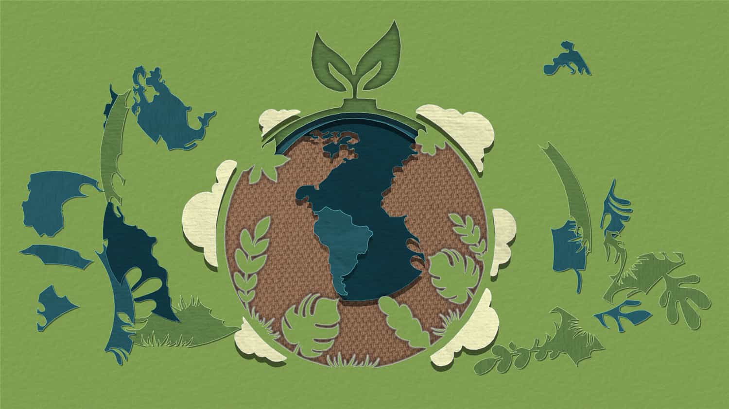 图片[2]-剪纸美术馆-自然/Papercut Art Gallery-Nature-pp游戏仓库