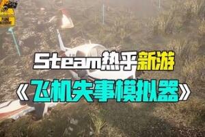 飞机失事模拟器/Plane Accident-pp游戏仓库