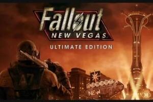辐射：新维加斯/Fallout: New Vegas-pp游戏仓库