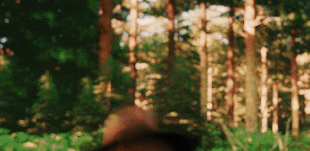 图片[8]-护林员模拟器/Forest Ranger Simulator-pp游戏仓库