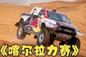 达喀尔拉力赛/Dakar Desert Rally-pp游戏仓库