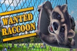浣熊通缉犯|官方中文|支持手柄|Wanted Raccoon-pp游戏仓库