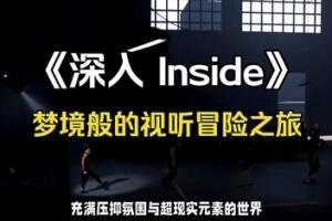 深入/囚禁/Inside-pp游戏仓库