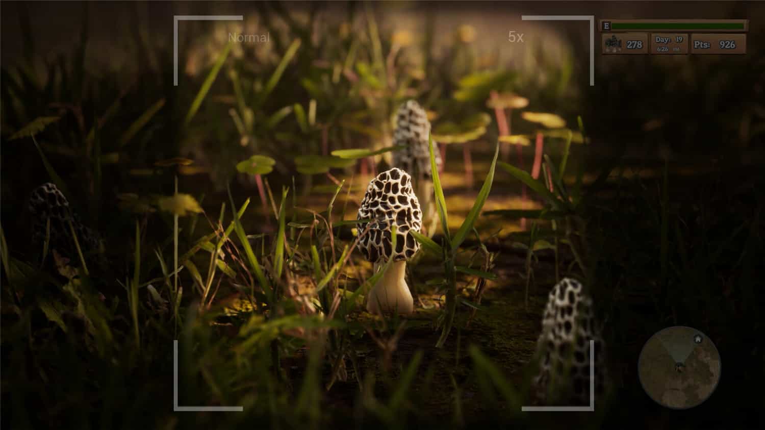 图片[1]-羊肚菌：狩猎/Morels: The Hunt-pp游戏仓库