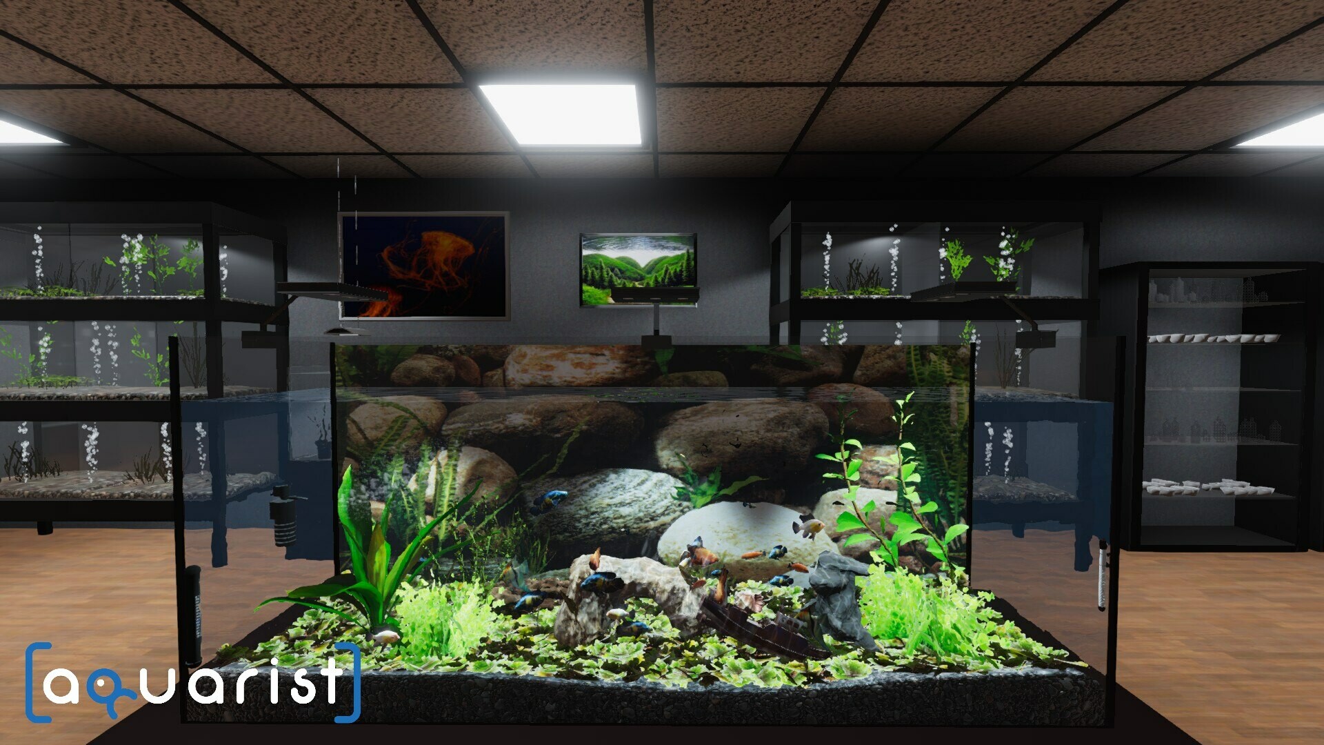 图片[1]-Aquarist – 建造水族馆，养鱼，发展你的事业！-pp游戏仓库