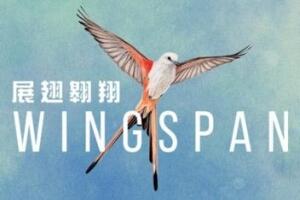 展翅翱翔/WINGSPAN-pp游戏仓库