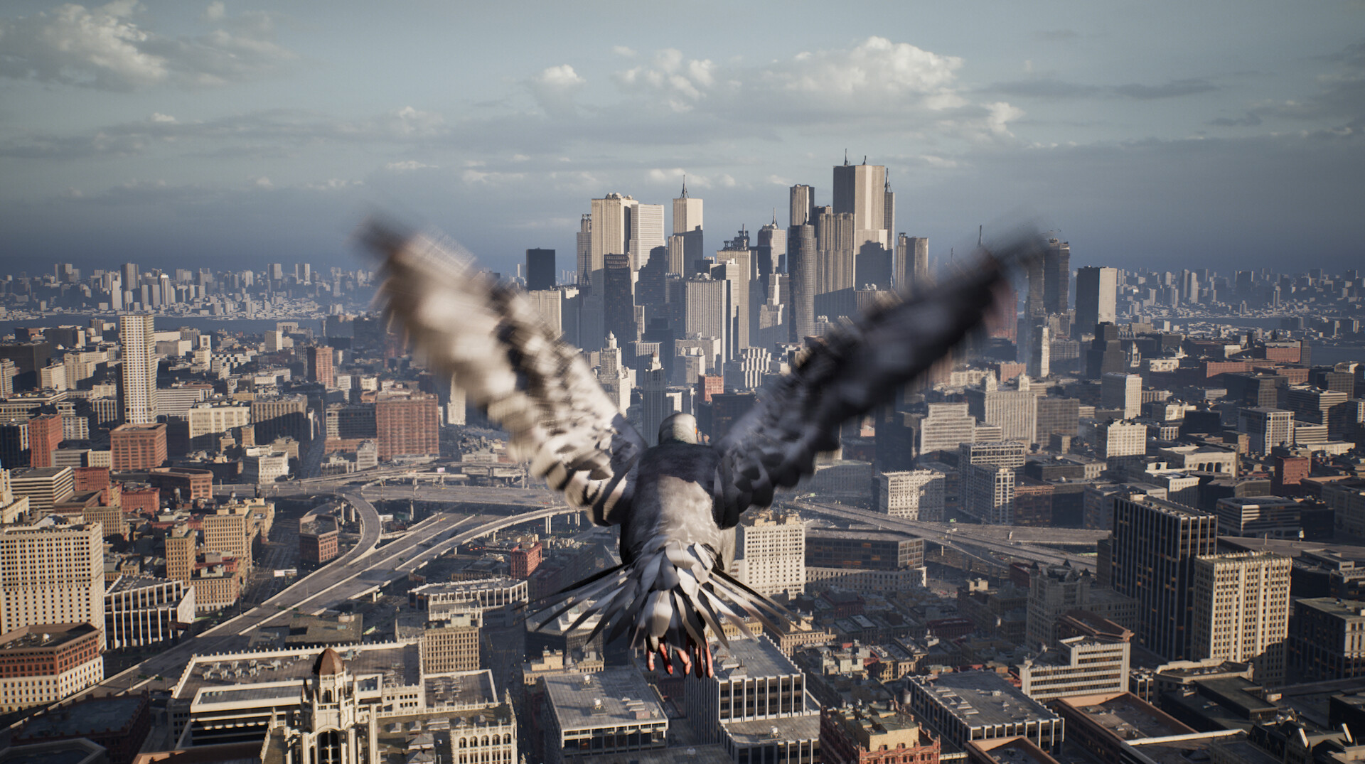 图片[5]-鸽子飞行模拟器/Pigeon Flight Simulato-pp游戏仓库