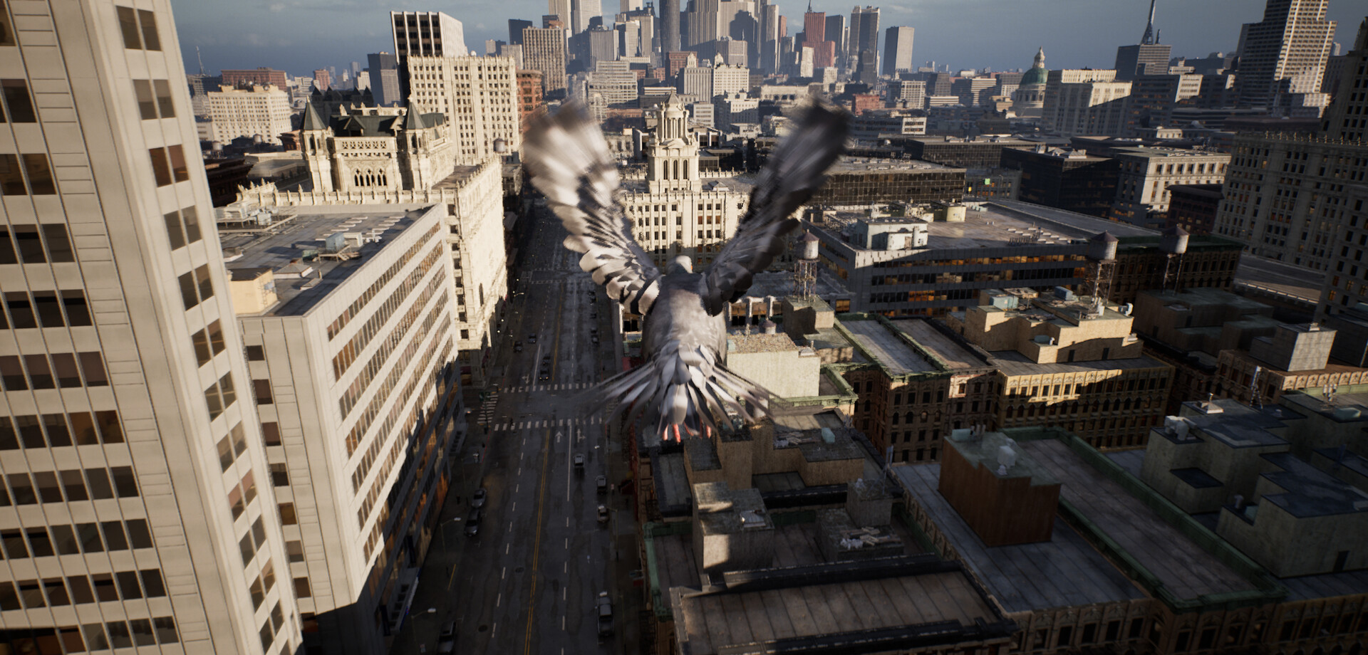 图片[2]-鸽子飞行模拟器/Pigeon Flight Simulato-pp游戏仓库