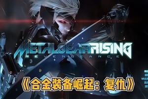 合金装备崛起：复仇 / METAL GEAR RISING REVENGEANCE-pp游戏仓库