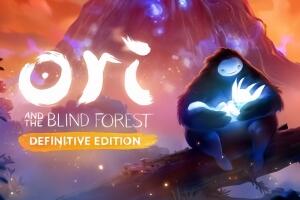 奥日与黑暗森林/Ori and the Blind Forest-pp游戏仓库
